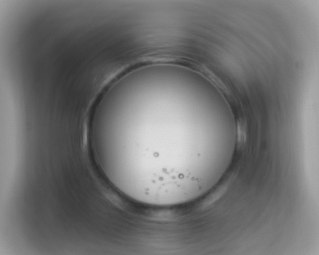 X0000114240301200910091514