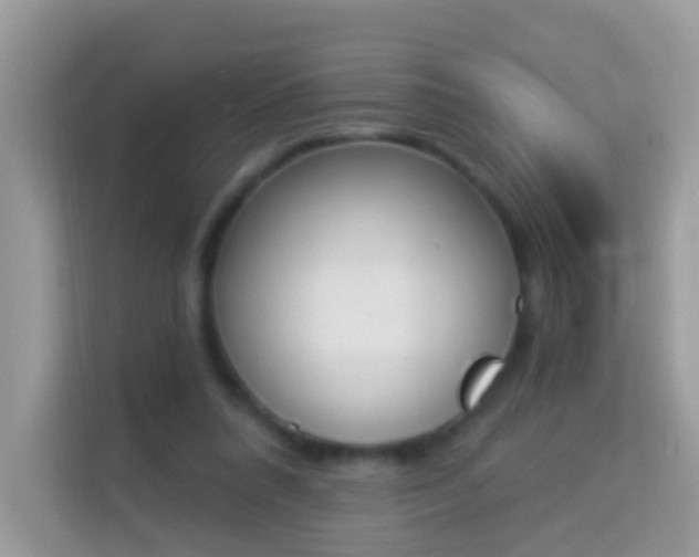 X0000114240304200910091514