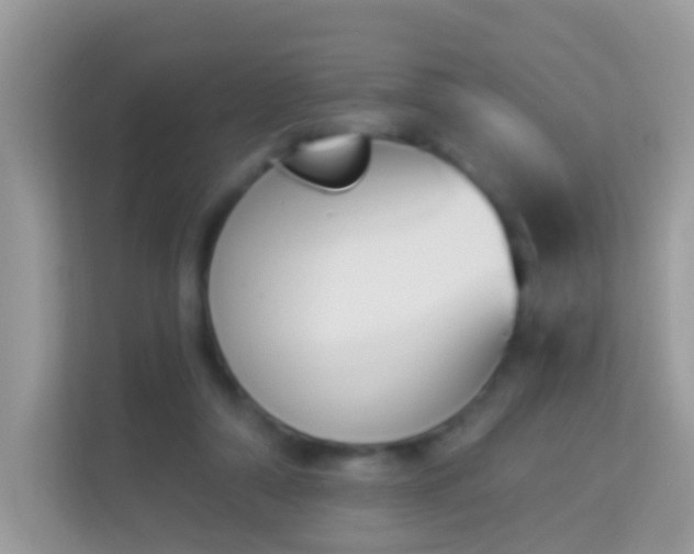 X0000114240306200910091514