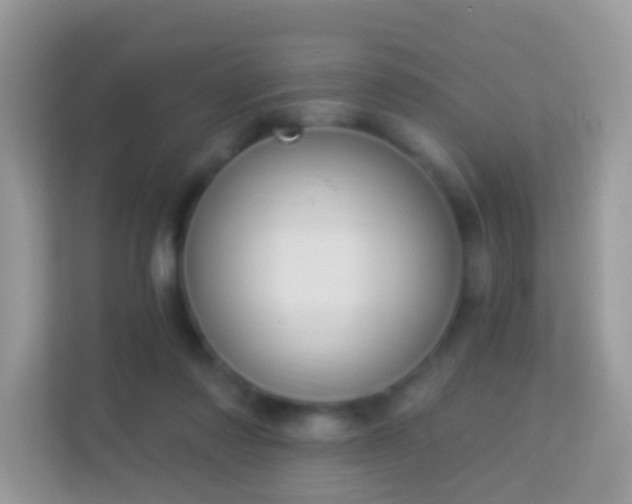 X0000114240310200910091514