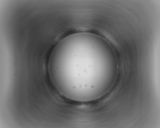 X0000114240312200910091514