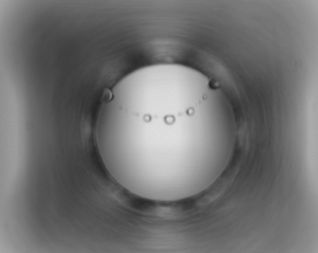 X0000114240314200910091514