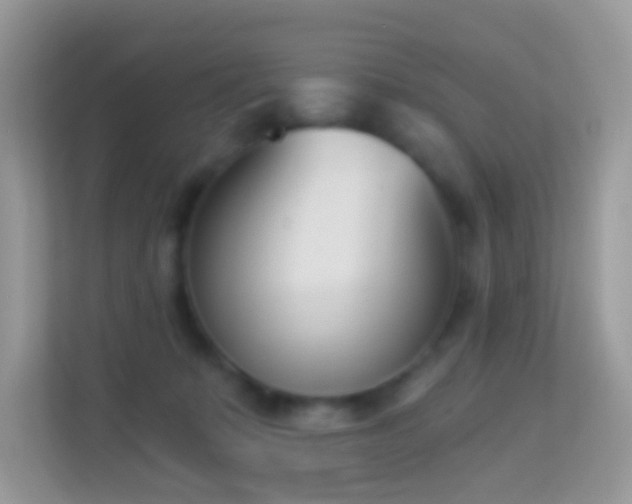 X0000114240319200910091514