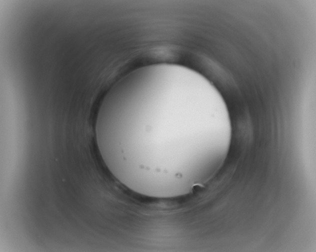 X0000114240320200910091514