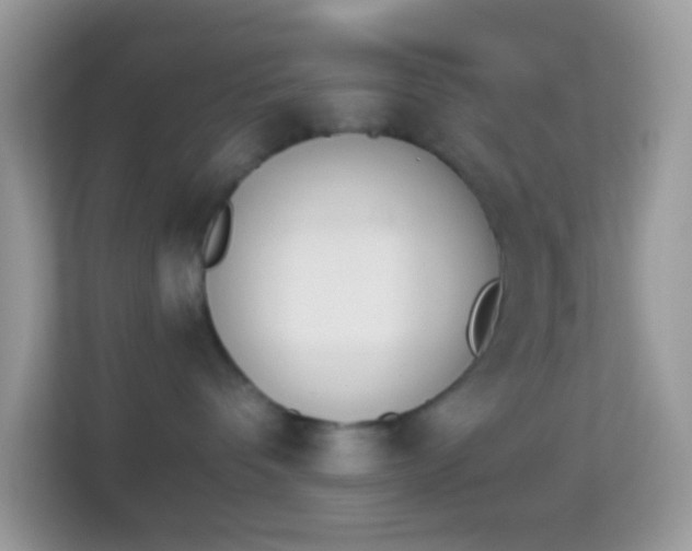 X0000114240336200910091513