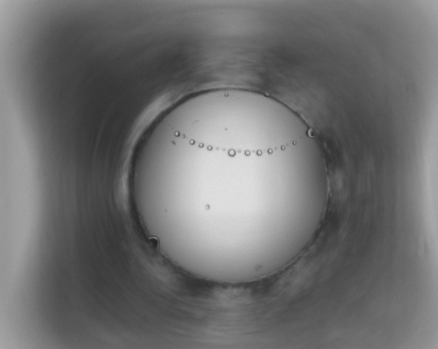 X0000114240340200910091513