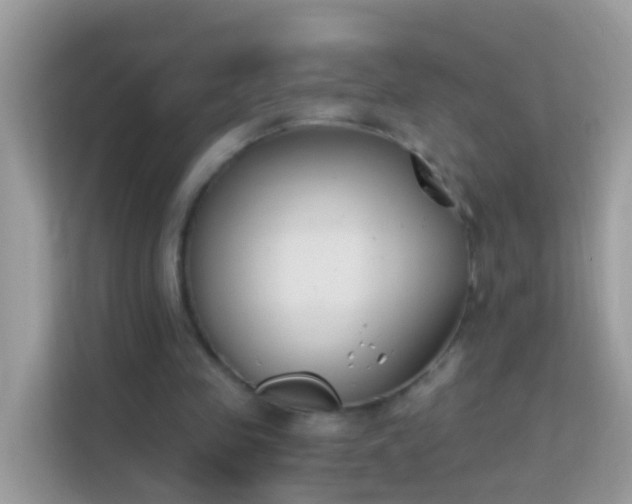 X0000114240341200910091513
