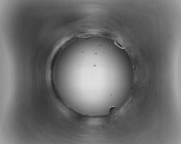 X0000114240342200910091513