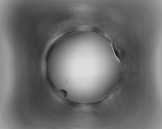 X0000114240343200910091513