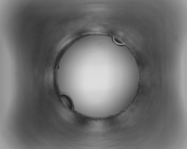 X0000114240344200910091513