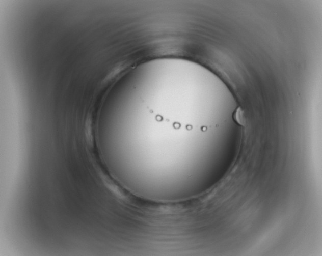 X0000114240345200910091513