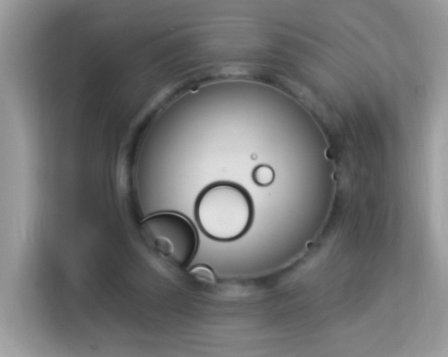 X0000114240347200910091513