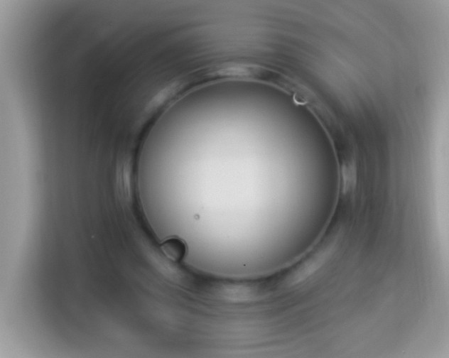 X0000114240349200910091513