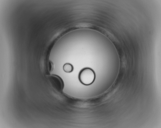 X0000114240351200910091513
