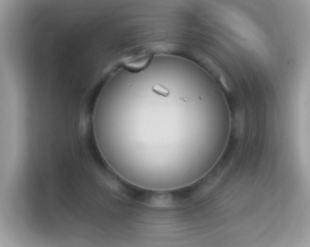 X0000114240355200910091513