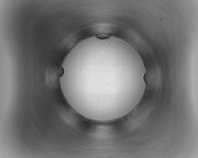 X0000114240360200910091513