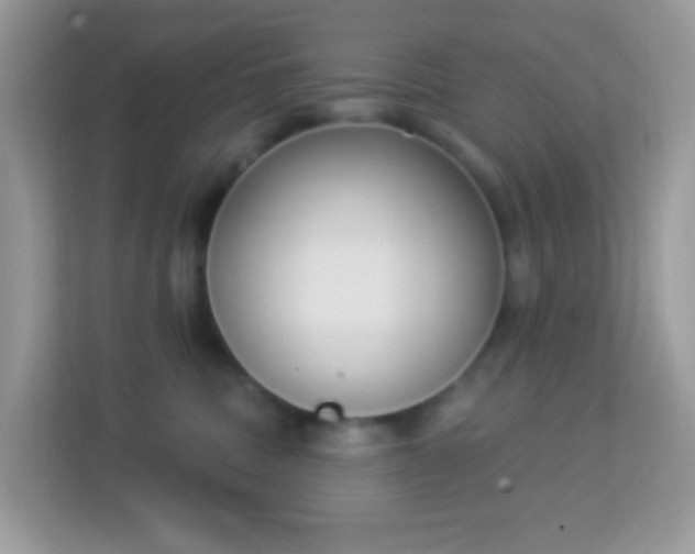 X0000114240379200910091513
