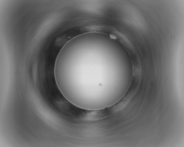 X0000114240382200910091513