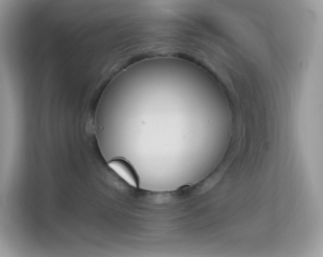 X0000114240384200910091513