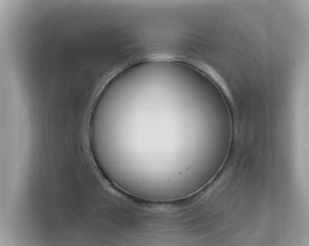X0000114240385200910091513