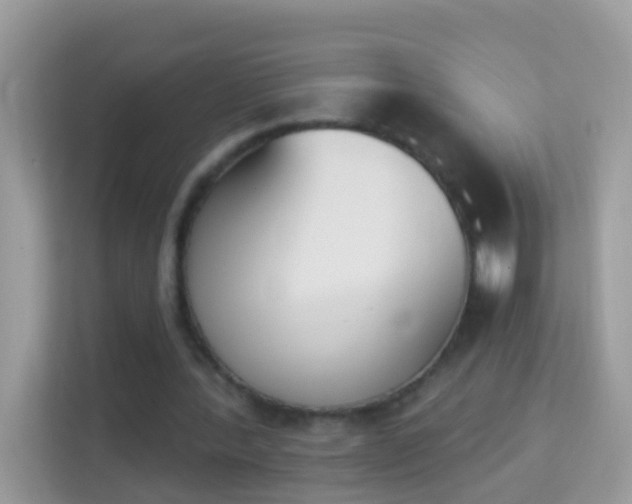 X0000114240388200910091513