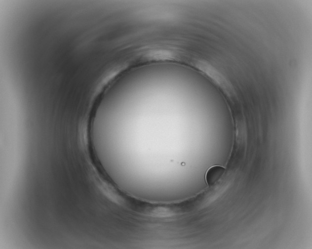 X0000114240390200910091513