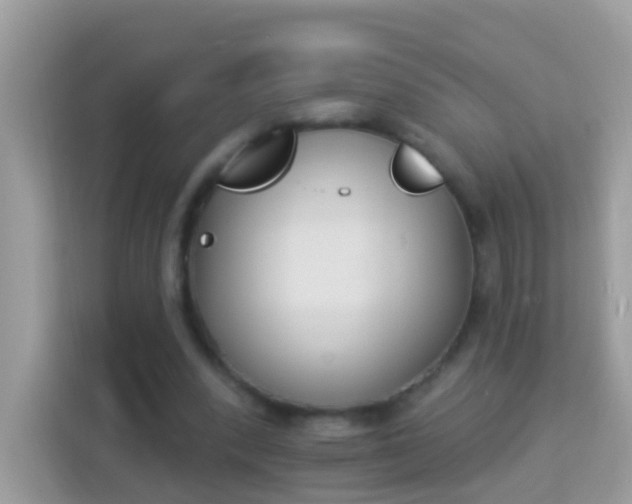 X0000114240392200910091513