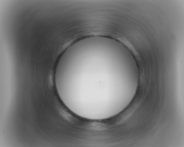 X0000114240393200910091513