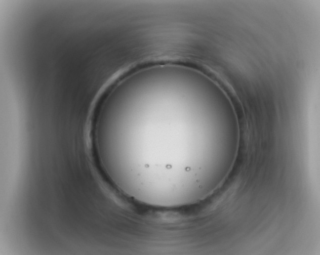 X0000114240395200910091513