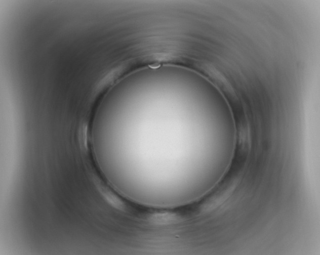 X0000114240397200910091513