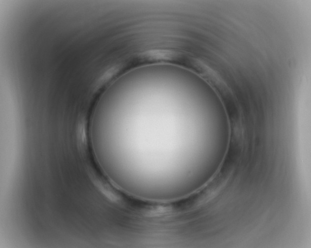 X0000114240398200910091513