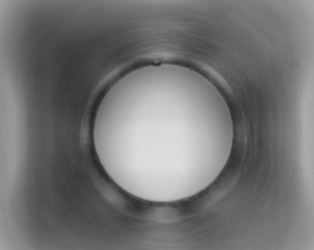 X0000114240399200910091513