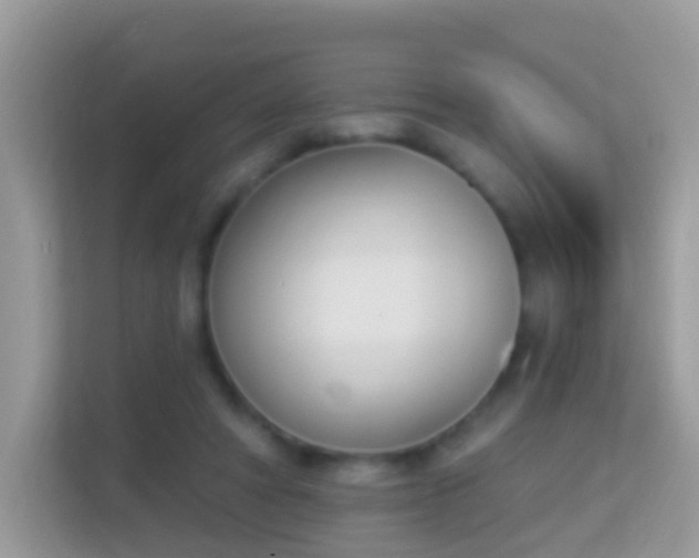 X0000114240402200910091513