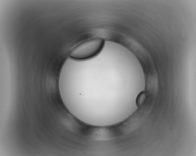 X0000114240409200910091512