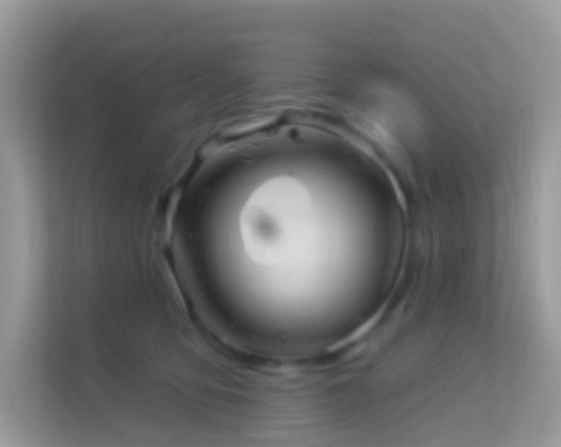 X0000114240419200910091512