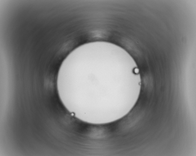 X0000114240423200910091512