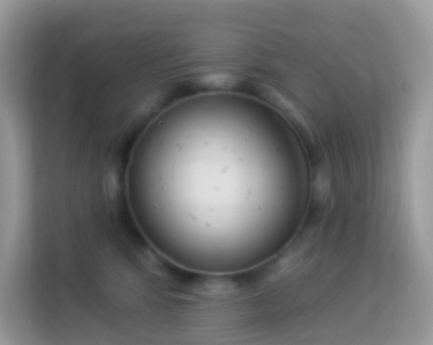 X0000114240424200910091512