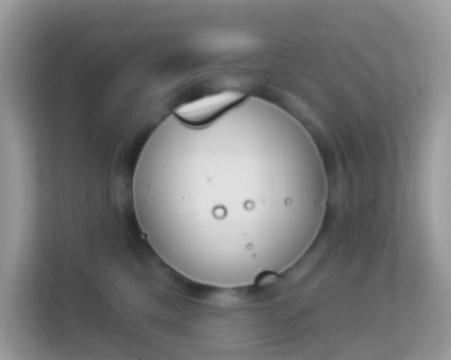 X0000114240425200910091512