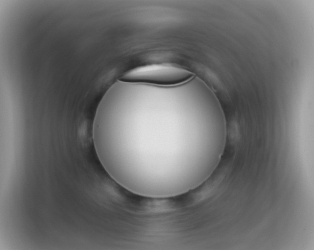 X0000114240428200910091512