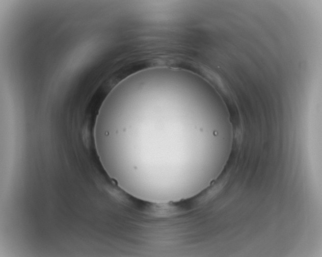 X0000114240429200910091512