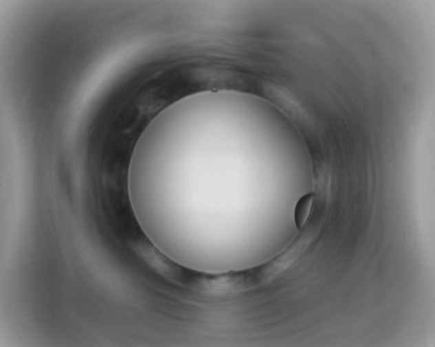 X0000114240430200910091512
