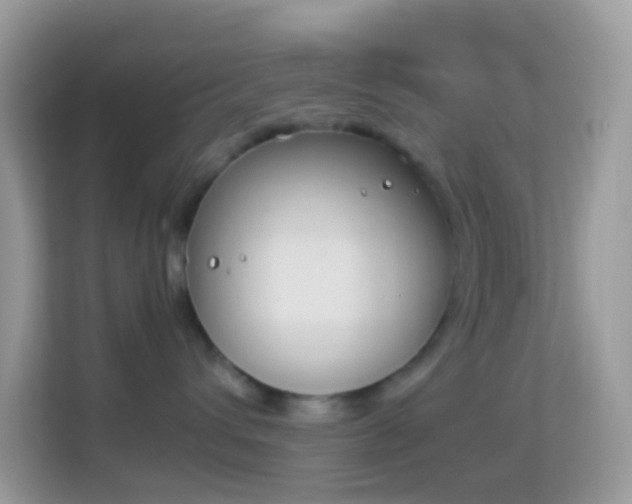 X0000114240432200910091512