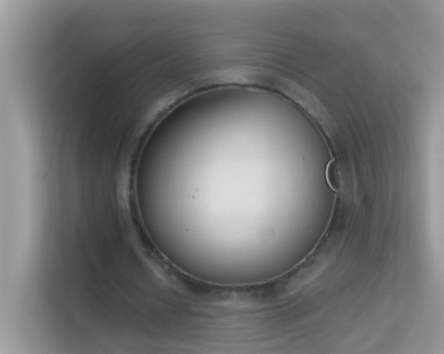 X0000114240434200910091512