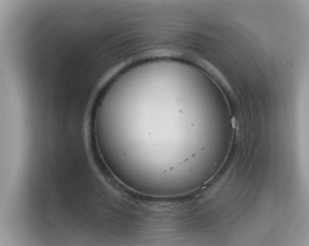 X0000114240436200910091512