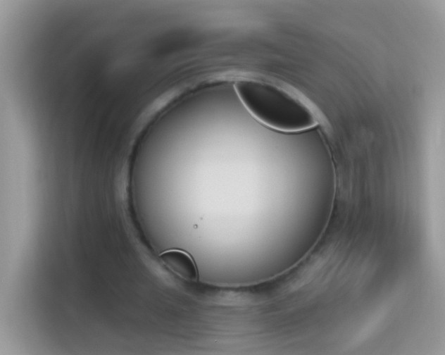 X0000114240437200910091512