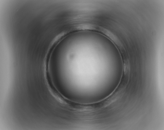 X0000114240438200910091512