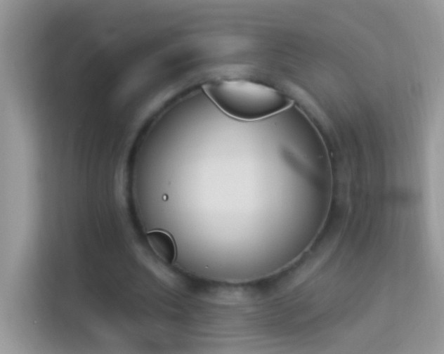 X0000114240439200910091512