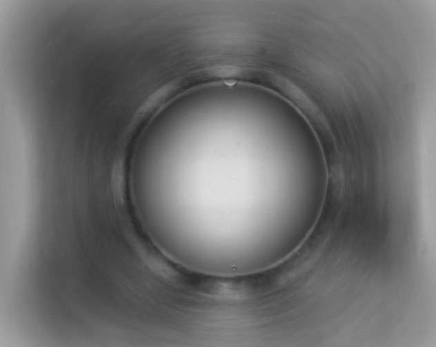 X0000114240442200910091512