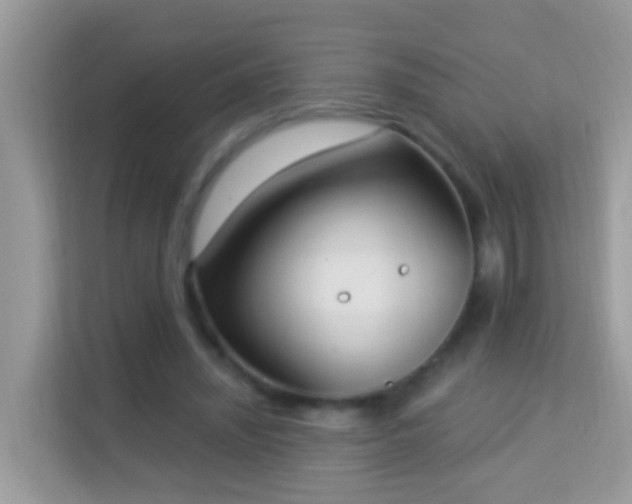 X0000114240444200910091512