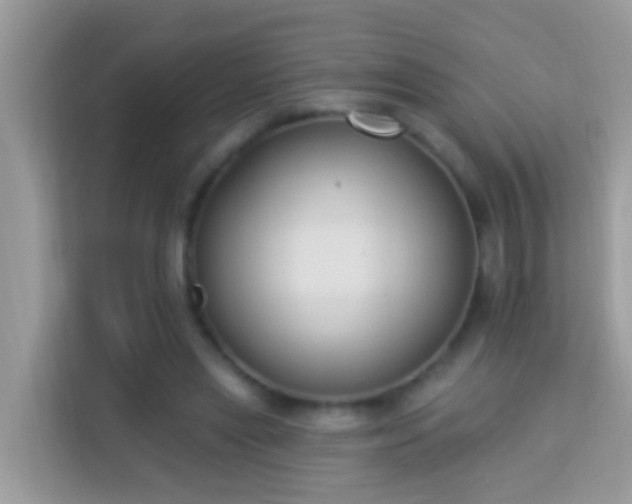 X0000114240445200910091512